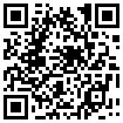 手机/微信访问网站